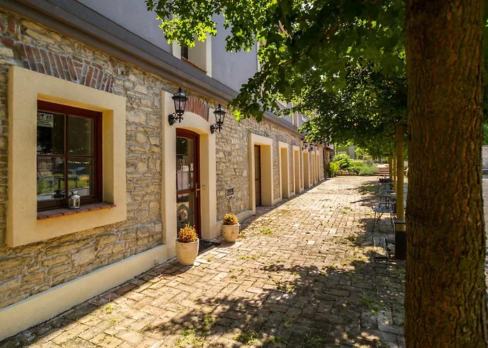 Chateau Nightingales מלון Hostoun